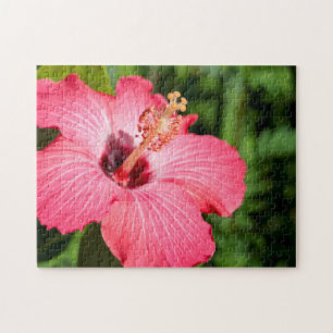 Puzzle Michigan, Dearborn. Détail de l'Hibiscus rose