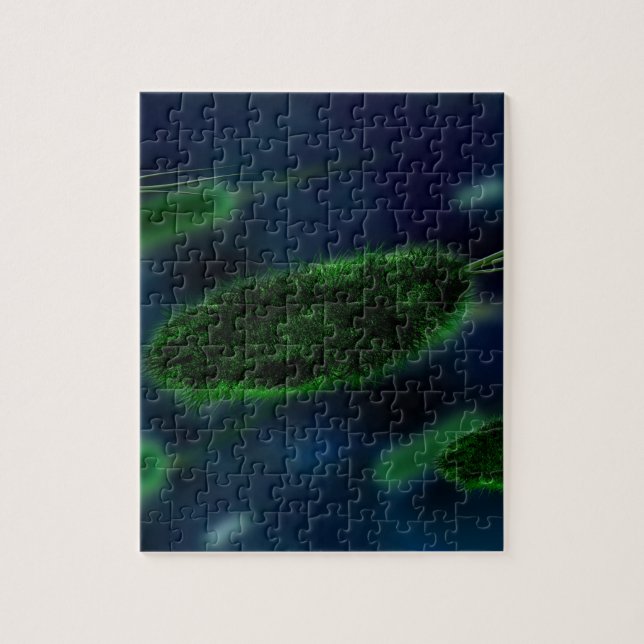 Puzzle Microbes de bactéries (Vertical)