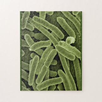 Puzzle Microscopio e.coli