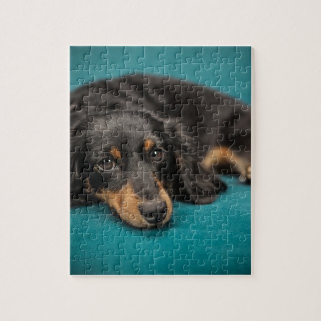 Puzzle Mignet Dachshund Se Pose En Bas (Vertical)