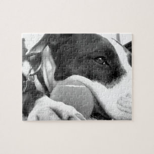Puzzle mignon chien pitbulle à l'air triste noir blanc av