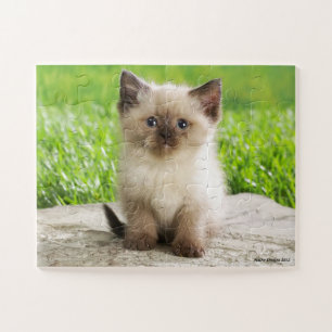 Puzzle mignon de Kitty