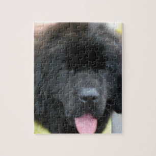 Puzzle mignon de Terre-Neuve
