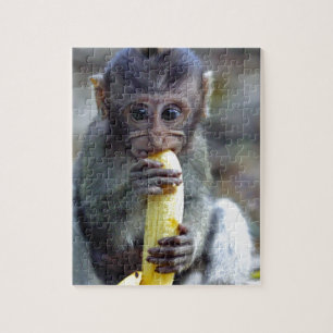 Puzzle Mignonne singe macaque de bébé mangeant de la bana