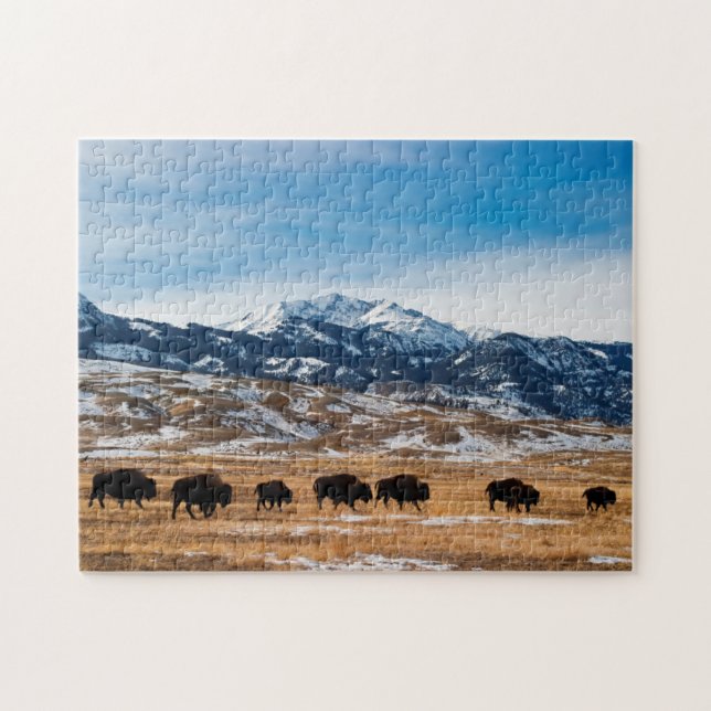 Puzzle Migration de bison (Horizontal)