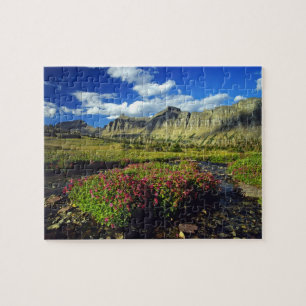 Puzzle Mimulus de Lewis et Clark à Logan Pass dans le par