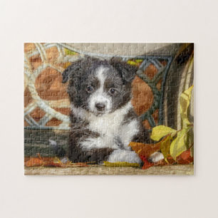 Puzzle Mini Chien Chien Chien Mignonne Aussie Chien Bi-Co