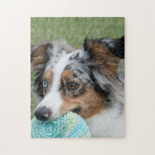 Puzzle Miniature américaine Sepherd Blue Merle