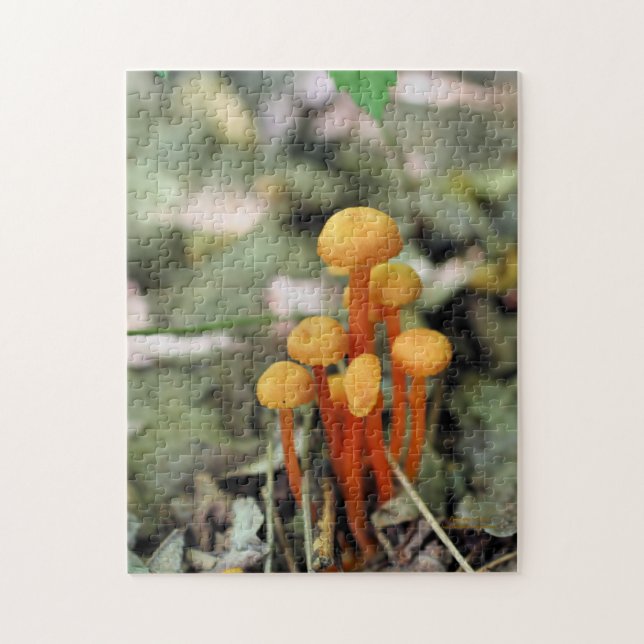 Puzzle Minuscule Champignons sauvages Orange Nature (Vertical)