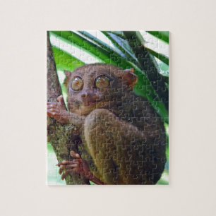 Puzzle Minuscule tarsier philippin