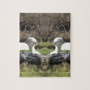 Puzzle Miroir d'alpaga