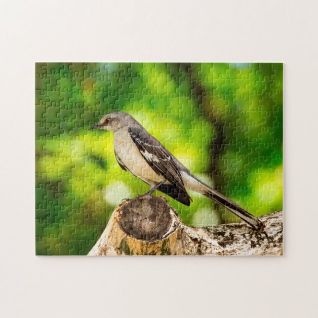 Puzzle Mocking Bird Florida. (Horizontal)