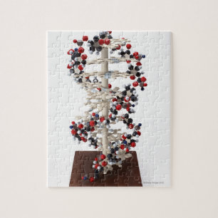 Puzzle Modèle ADN