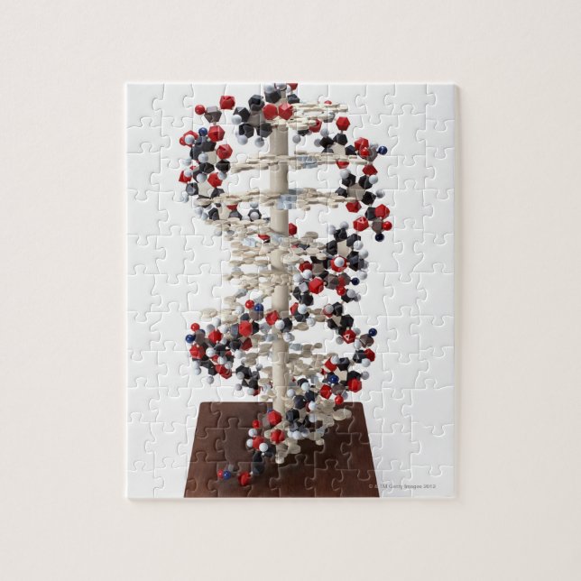 Puzzle Modèle ADN (Vertical)