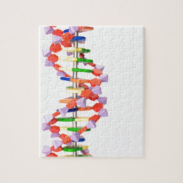 Puzzle Modèle artificiel d'ADN (Vertical)