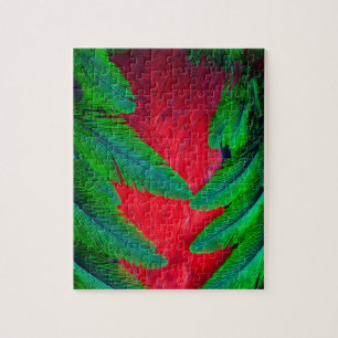Puzzle Modèle de plume Quetzal resplendant
