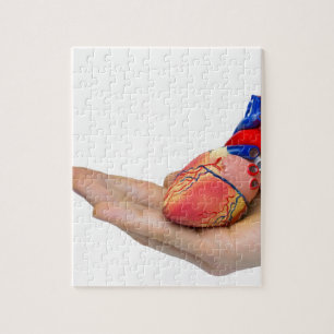 Puzzle Modèle humain artificiel de coeur en main