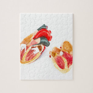 Puzzle Modèle humain de coeur d'isolement sur l'arrière -