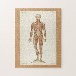 Puzzle Modérée Défi Vintage Anatomie Pages du livre