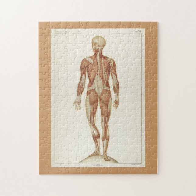 Puzzle Modérée Défi Vintage Anatomie Pages du livre (Vertical)