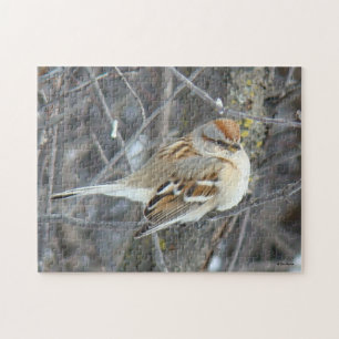Puzzle Moineau domestique B24