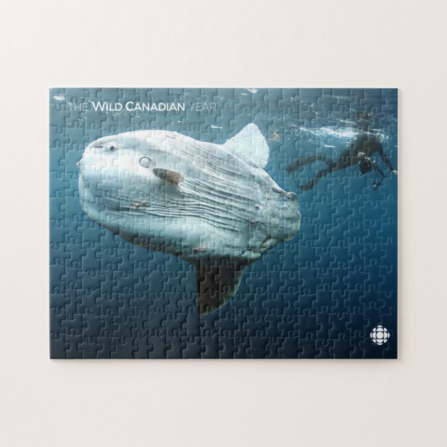 Puzzle Mola Mola (Horizontal)
