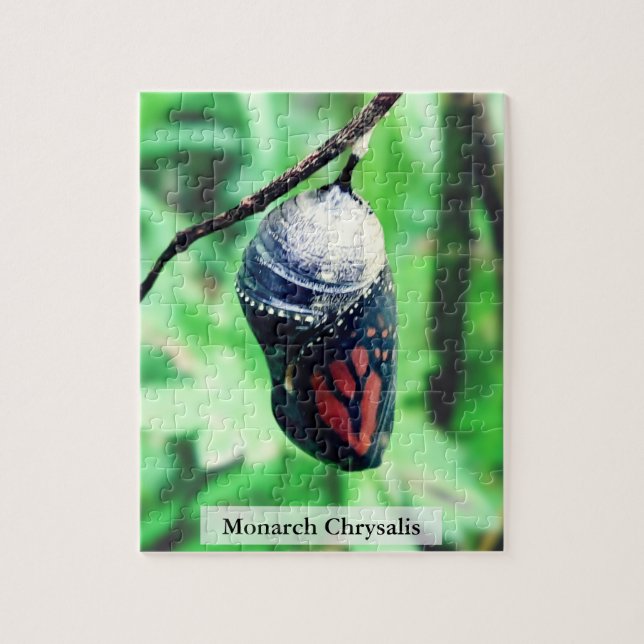 Puzzle Monarch Butterfly Chrysalis Before Hatching 110Pcs (Vertical)