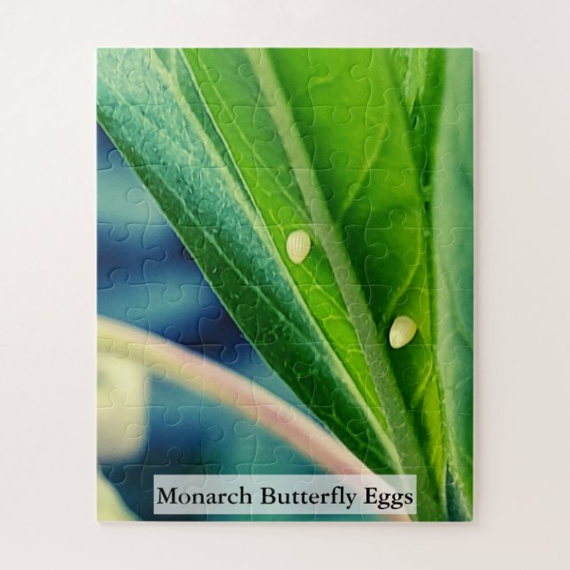 Puzzle Monarch Butterfly Eggs 56 Pieces (Vertical)