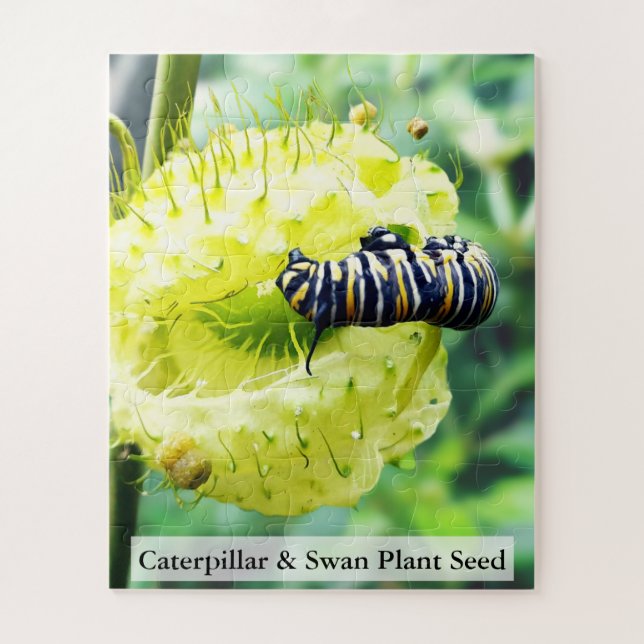 Puzzle Monarch Caterpillar & Swan Plant Seed 56 Pcs (Vertical)