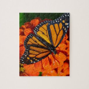 Puzzle Monarque