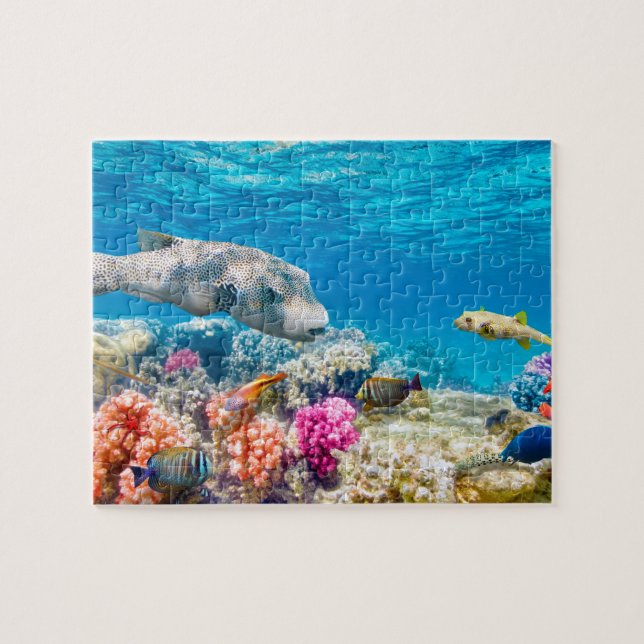 Puzzle Monde sous-marin de mer de belle nature (Horizontal)
