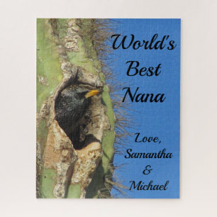 Puzzle Mondes Best Nana Desert Cactus Wild Bird