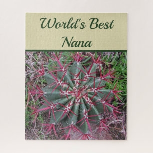 Puzzle Mondes Best Nana Desert Plante Baril Rouge Cactus