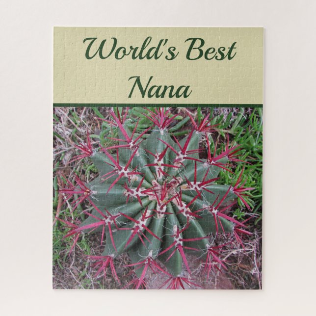 Puzzle Mondes Best Nana Desert Plante Baril Rouge Cactus (Vertical)