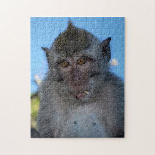 Puzzle Monkey