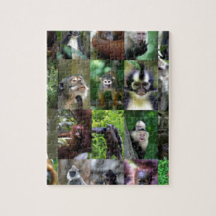 Puzzle Montage de singe primate