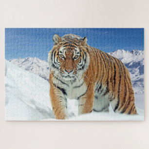 Puzzle Monts du tigre des neiges Nature animale Photo