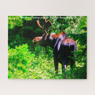 Puzzle Moose à Grand Tetons. voeux de Noël