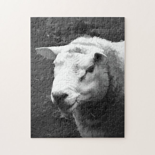 PUZZLE MOQUETTE (Vertical)