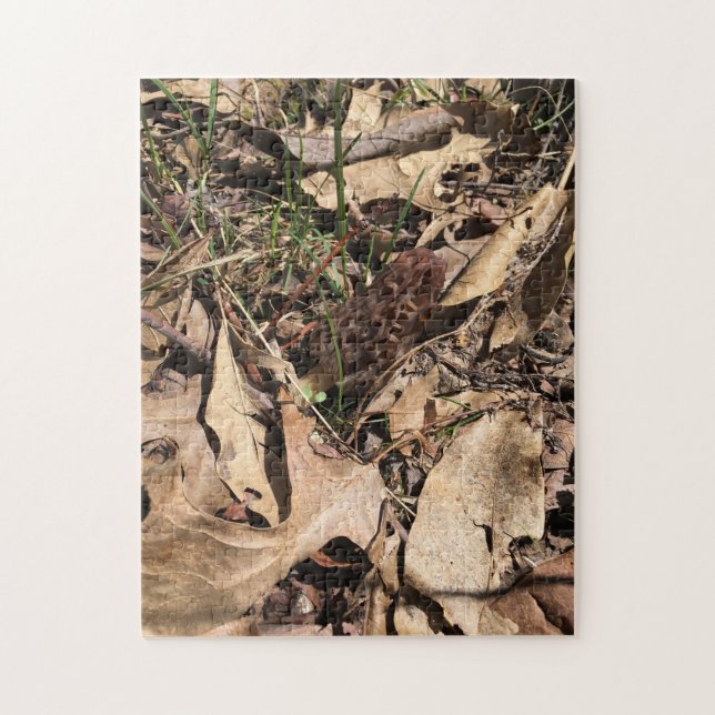 Puzzle Morel (Vertical)