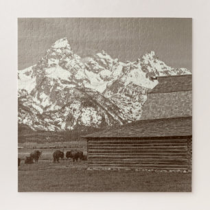 Puzzle Mormon Row - Grand Tetons - 20x20 - 676 pcs
