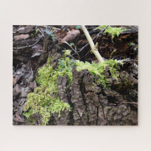 Puzzle Mosses