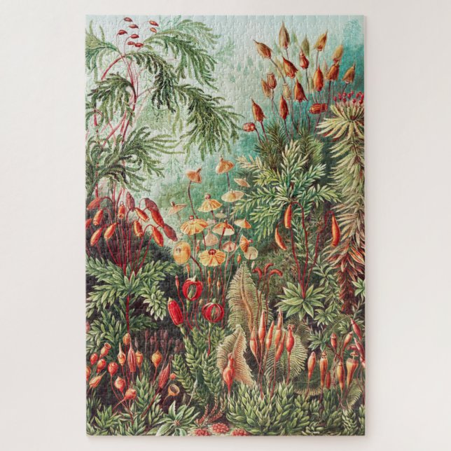 Puzzle Mosses, Muscinae Laubmoose par Ernst Haeckel (Vertical)