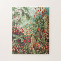 Mosses, Muscinae Laubmoose par Ernst Haeckel