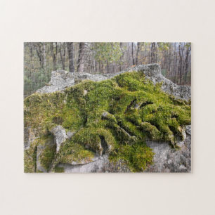 Puzzle Mossy Broken Headstone