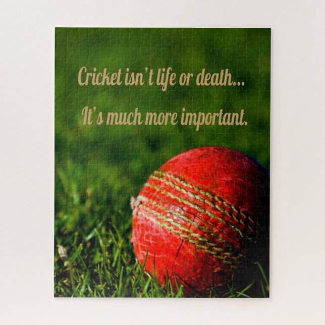 Puzzle Motivation amusante de la balle rouge de cricket (Vertical)