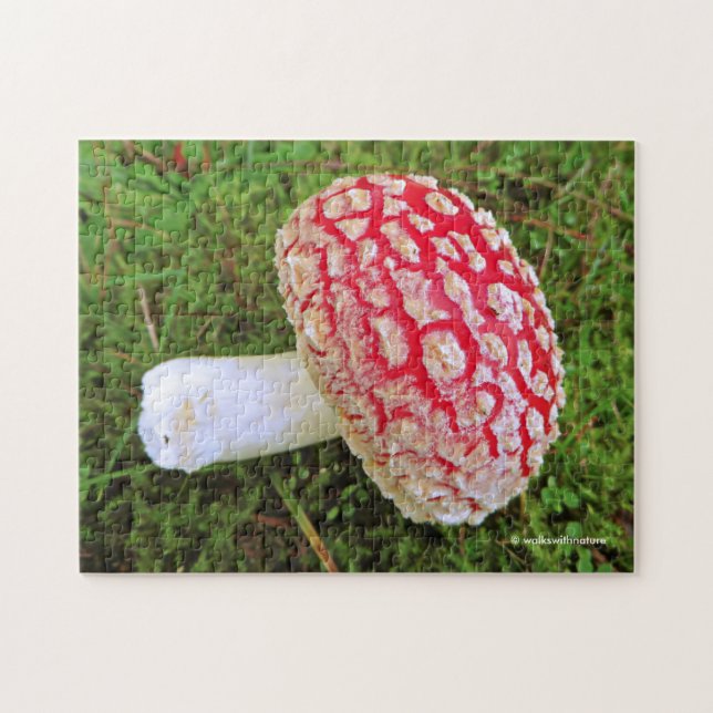 Puzzle Mouche tombée Agaric / Amanita Muscaria Champignon (Horizontal)