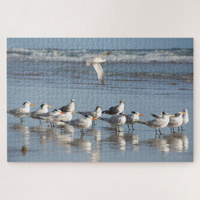 Puzzle Mouettes sur la plage de Floride (Horizontal)