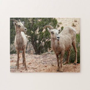 Puzzle Mouflons drôles à Zion National Park