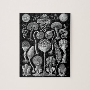 Puzzle Moules de boue en noir et blanc